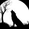 WOLFOFDARK4