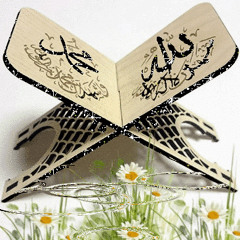 Mishmisha Hanem