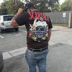 BigTDog