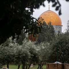 مَـريَم سالِم