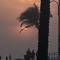 sunset_o_
