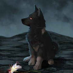 ꧁ 𝙼𝚢𝚜𝚝𝚎𝚛𝚢 ꧂