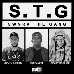 Swnrv The Gang