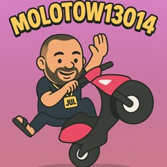 molotow13014