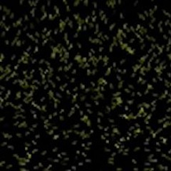 Libraries Are Not Supposed To Be Quiet