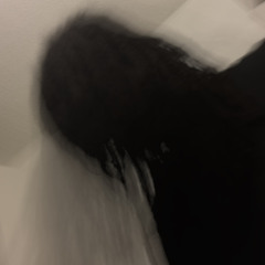 DVLYNXX