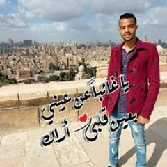 محمد مصطفى محمد