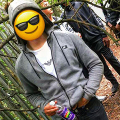 ziggy Le2