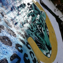 lbv