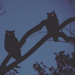 AOWL