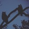 AOWL