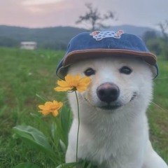 мс грязный брат