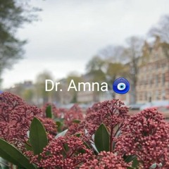 Amna 🔗