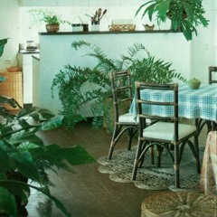 Neo Tech Association