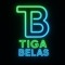 Dj Tiga Belas