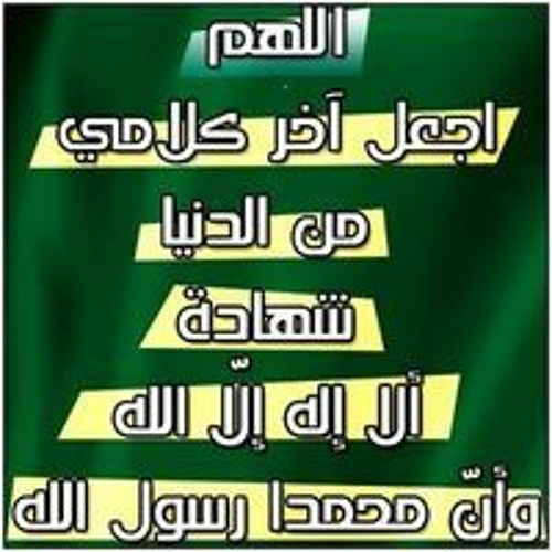 Mostafa Abd El Rahman’s avatar