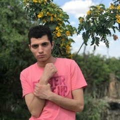 AHMED AMRO