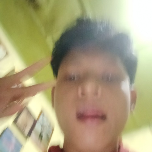 Satria Style Official — artist photo