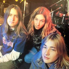 SILVERCHAIR FANS