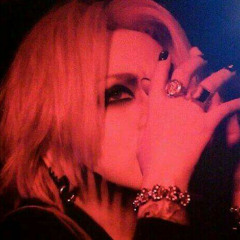 Avex✨