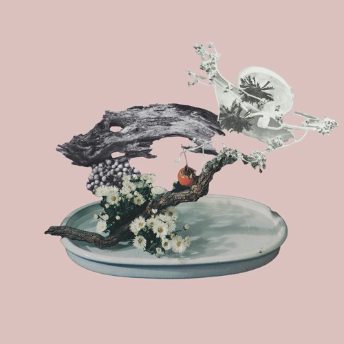 Stream Dolphin Mall music Listen to songs, albums, playlists for free