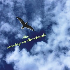 The soaring in the clouds