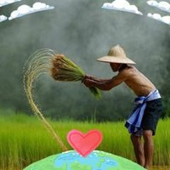 Tú Võ