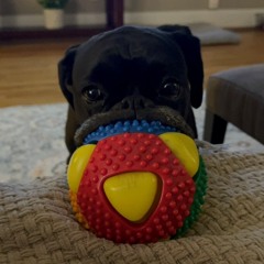 shlogmcklog