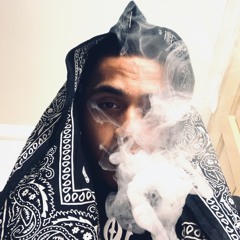 LH VIBEZ