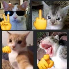 Sonolencia Em Si