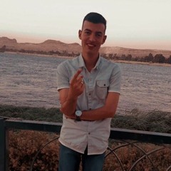 مينا عادل بشري