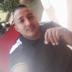 Tigre