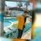 Badr Maf