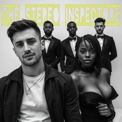 The Stereo Inspectors