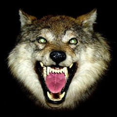 Wolfa_¿imdead?