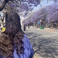 An🦋