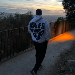 FREV4L