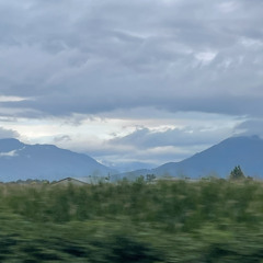 saint. (@saintdespisedd)