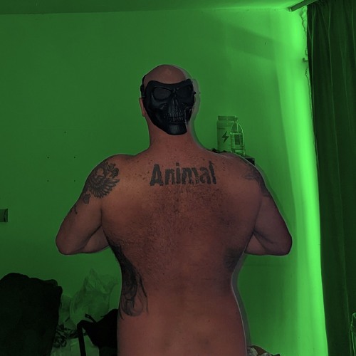 Serbian Animal’s avatar