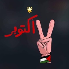 محمد سيد الريس