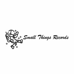 Small Things Records