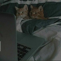 머핀