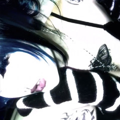 cupid (⑉• ﻌ •⑉) (@cvpidd4)