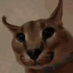 Some Peak Stuff In Here - 7