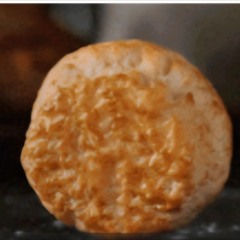 biscuit