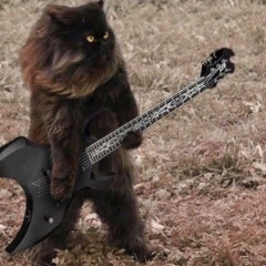 Catatonic Pandaa