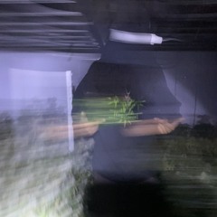 Bitacora De Un Limado