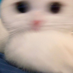tLiNe