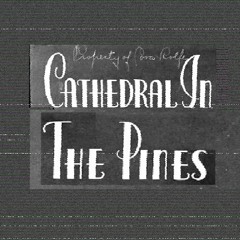 Cathedral in the Pines