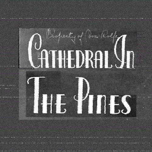 Cathedral in the Pines’s avatar